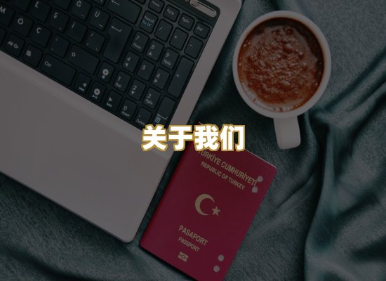 关于我们